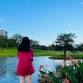 饭醉同伙